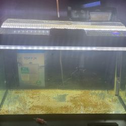 10 Gallon With Stand, Sand, Wood And Other Accessories 