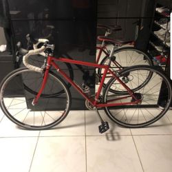 Trek 300 All New Components 