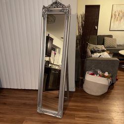 Elegant Silver Standing Full Length Mirror