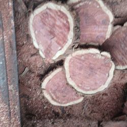 Red Cedar Slices 