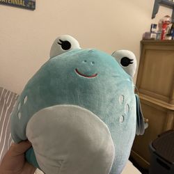 novi squishmallow