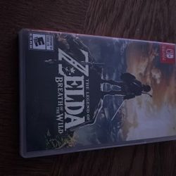 Nintendo Switch   Zelda 