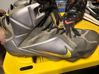 Nike LeBron 12 Flight