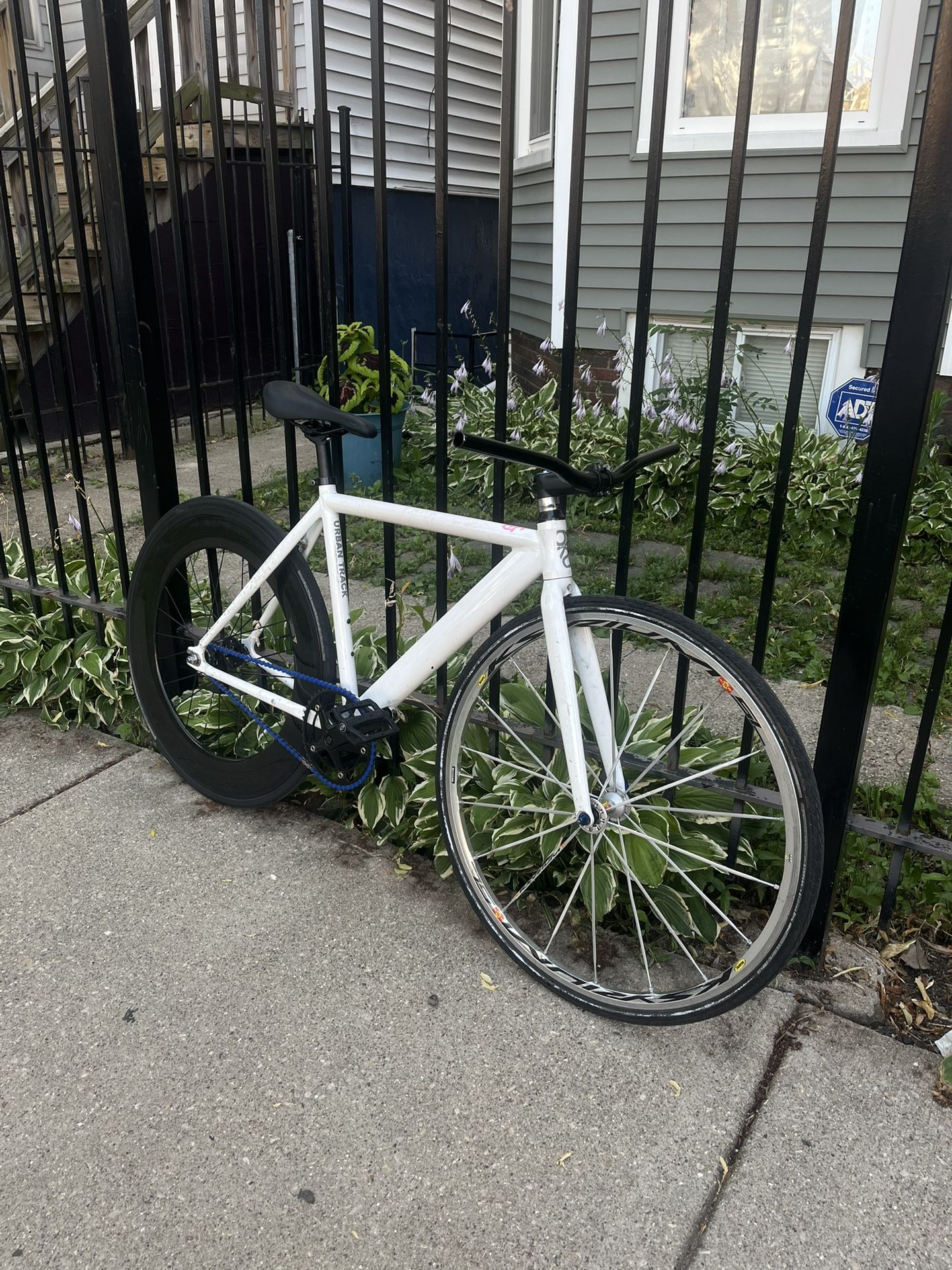 rear glossy 88 carbon