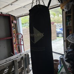 100 Lb Punching Bag With Hanger