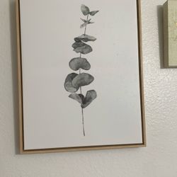 Two Walk Decors 