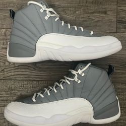 Jordan 12 Stealth (Size 11)