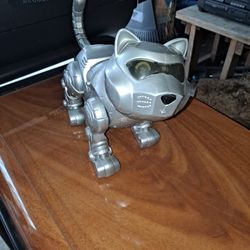 Robot Cat. Walks, Meows And Purrs.