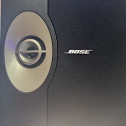 Bose 301 V Stereo Speakers
