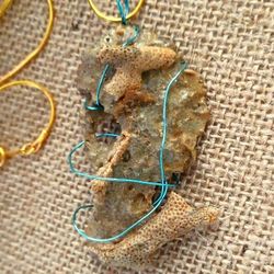 NEW JEWELRY OCEAN NECKLACES HETEROMORPH TUBE WORM SHELL, CRINOID WITH BARRACUDA TEETH, BRYZOIA SEA CORAL FOSSILS