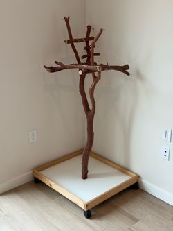 Bird stand tree perch