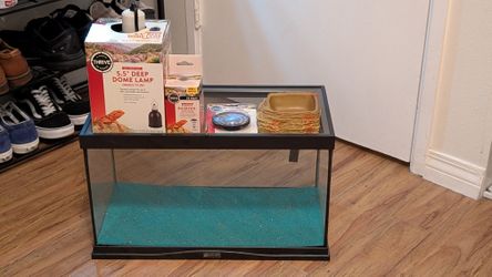 Small Glass Reptile Tank