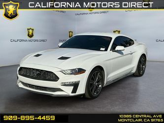 2019 Ford Mustang
