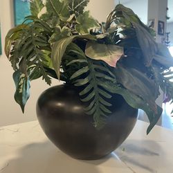 Fake Plant $10