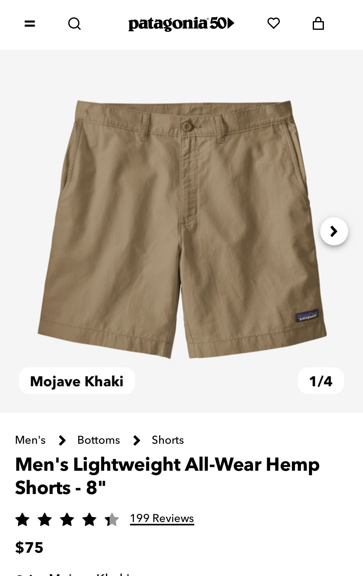 Patagonia Khaki Shorts 