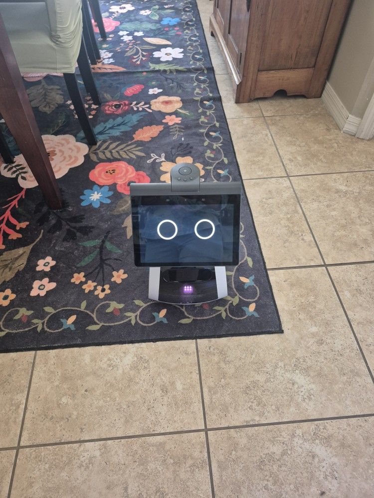 Amazon Astro Robot