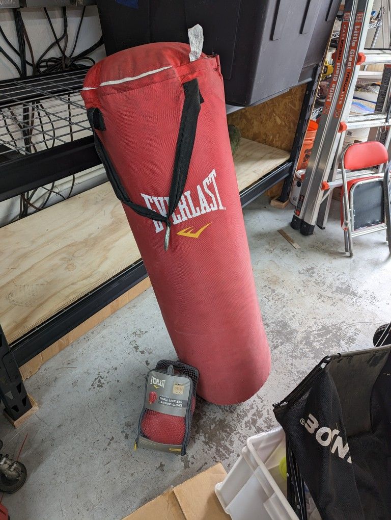 Everlast Punching Bag and Gloves 