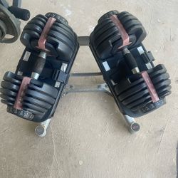 Bowflex 552 Select Weights  Dumbbell Dumbbells