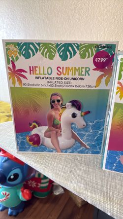 Pool Toys