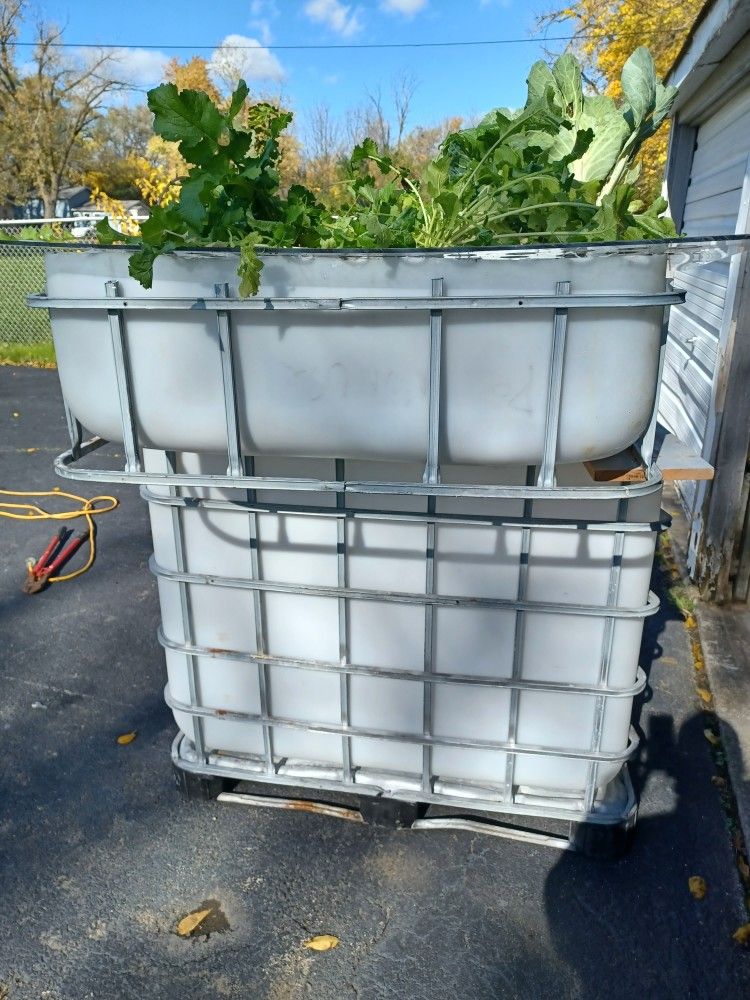 Aquaponics Fish And Plant System