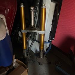 R6 2009 Front Fork Assembly 