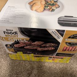 Ninja Foodi Xl Indoor Grill