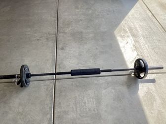 Curls Bars And Bench Press Bar