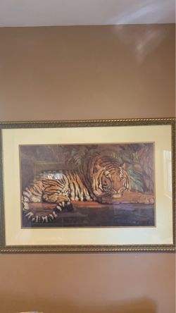 Tiger Print 42” x 30”