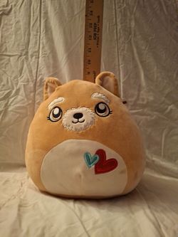 Chloeyana the dog