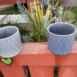Medium Sized Plant Pots