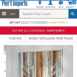 Pier1imports Wall Panel