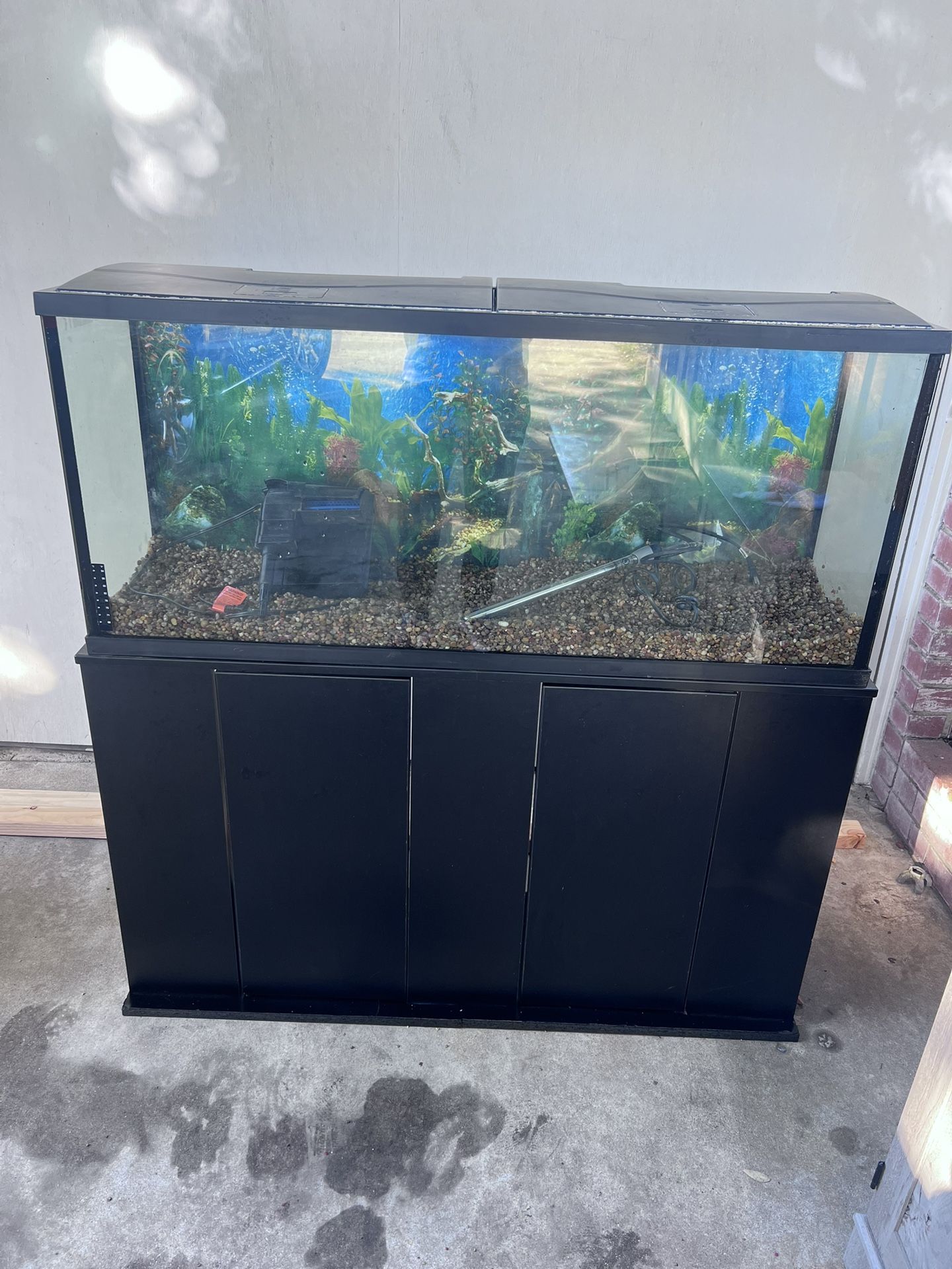 55 Gallon Aquarium 