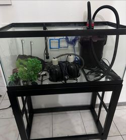 Fish/turtle tank