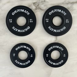 Everymate Fractional Olympic Weight Plates – 2.5 lb & 1.25 lb Set
