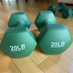 (2) 20 pound weights