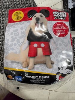 Dog costume
