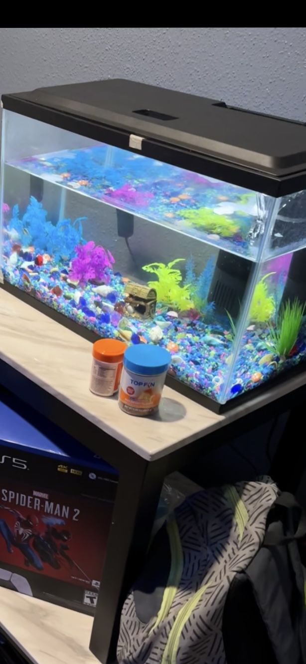 10 Gallon Fish Tank