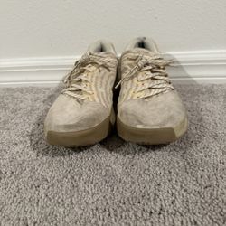 Harden 1 “Shell”