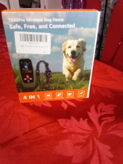 For Dog