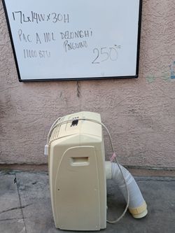 Portable