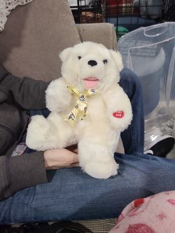 Plush Bear
