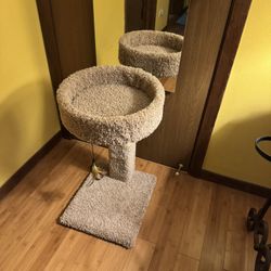 Cat Tree