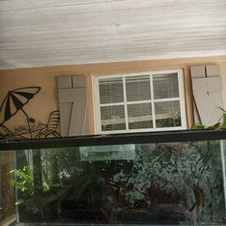 Fish Tank /pescera 55gl