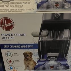 Hoover Power Scrub Deluxe