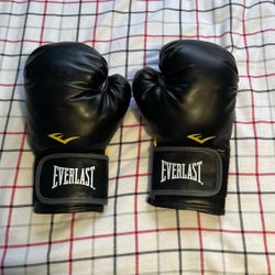 boxing gloves 
