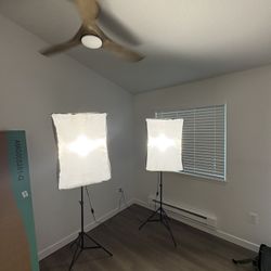 Box Lights