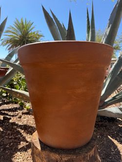 Extra Large Vase Pot Planter