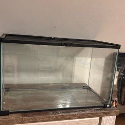 10 gallon tank 