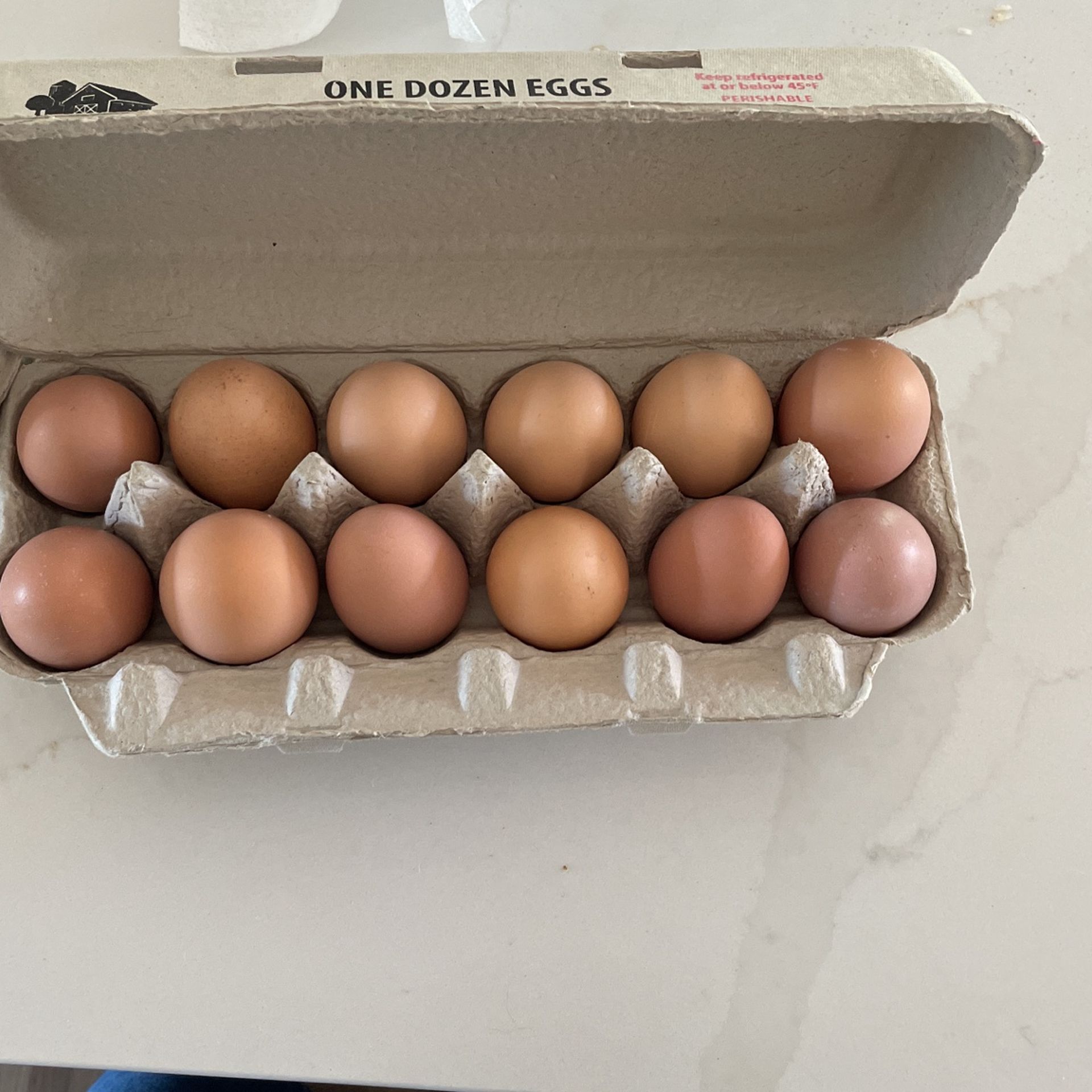 Eggs