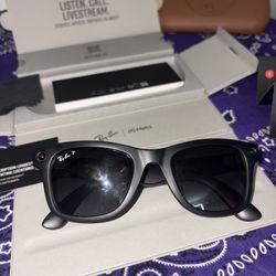 Raybans meta ai wayfarer 